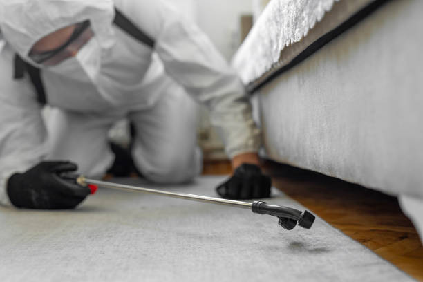 Professional Bed Bug Control technician working in Yelm, WA
