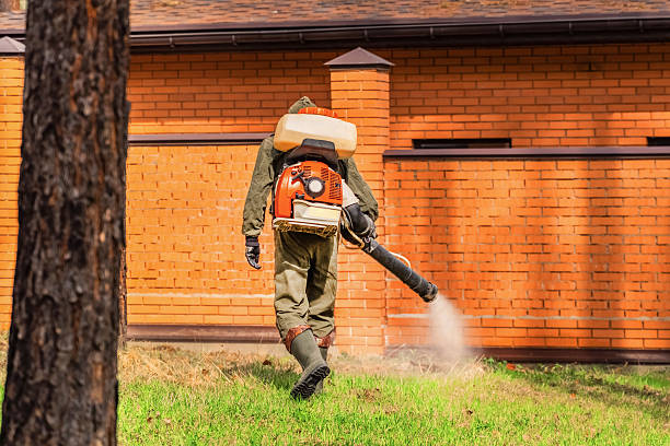 Trusted Termite Control service in Yelm, WA - Nex Pest Control